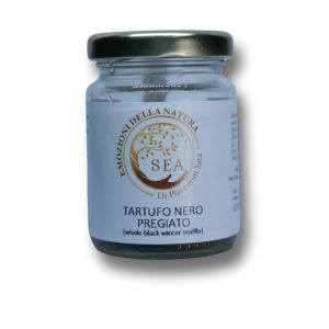 tartufo nero pregiato intero