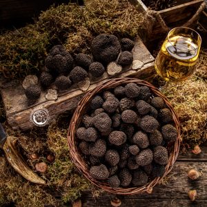TARTUFO